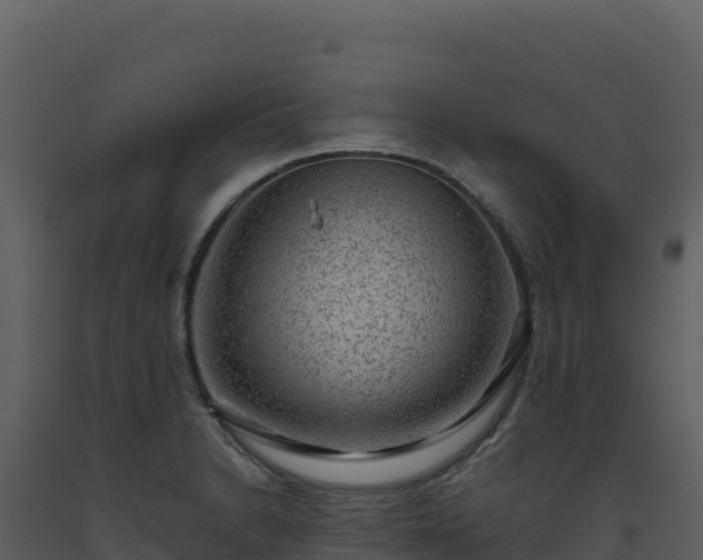 X0000093481230200710191200