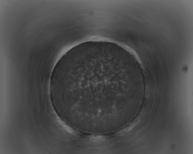X0000093481231200710191200