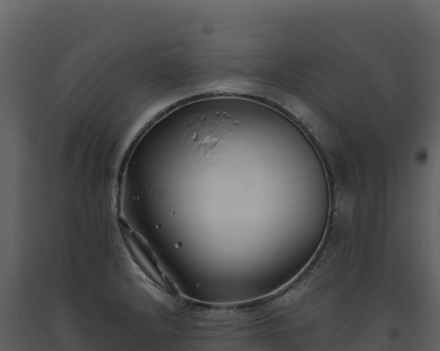 X0000093481232200710191200