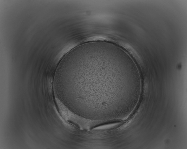 X0000093481233200710191200