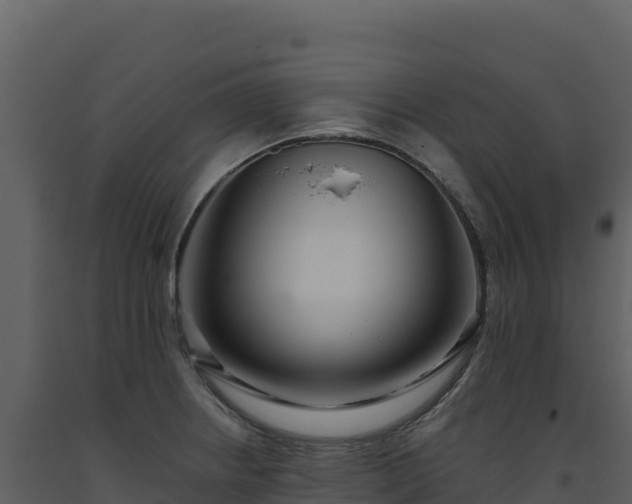 X0000093481234200710191200