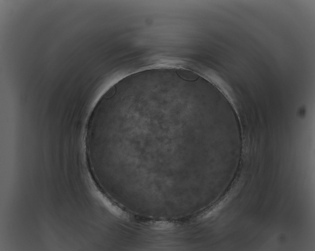 X0000093481235200710191200
