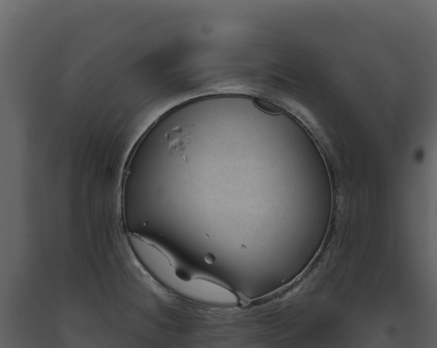 X0000093481236200710191200