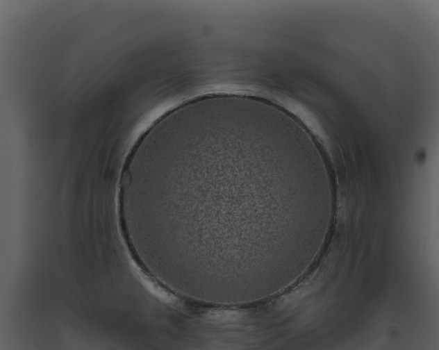 X0000093481237200710191200