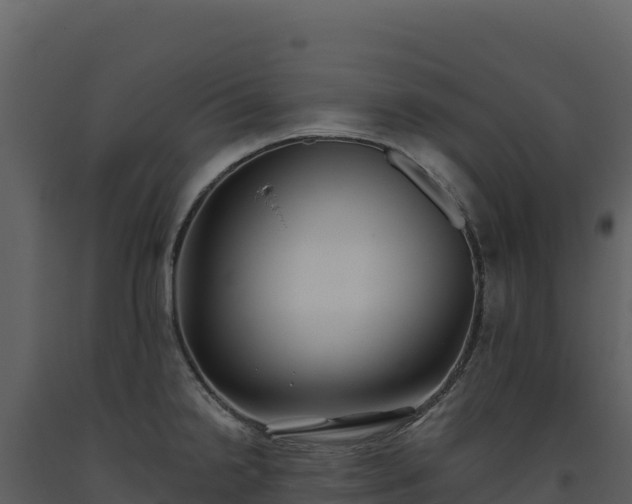 X0000093481238200710191200