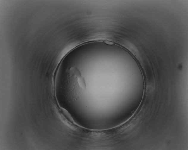 X0000093481242200710191200