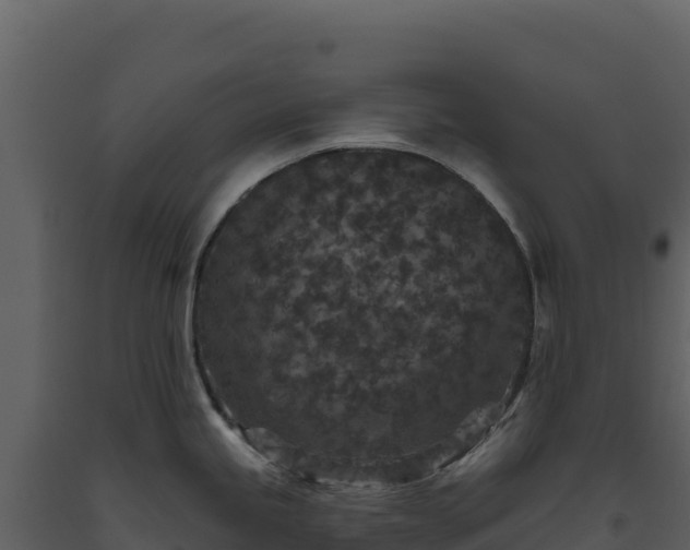 X0000093481245200710191200