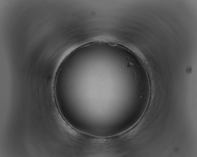 X0000093481248200710191200