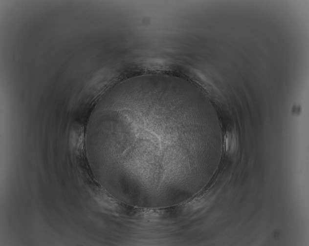 X0000093481251200710191159