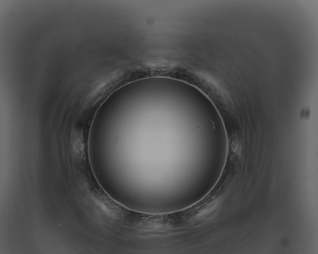 X0000093481252200710191159