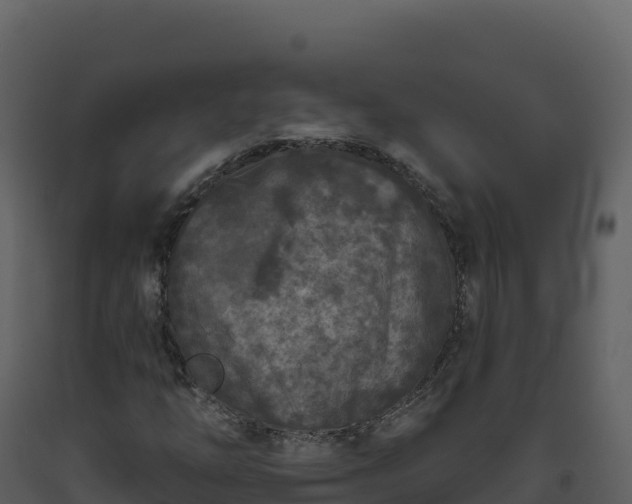 X0000093481254200710191159