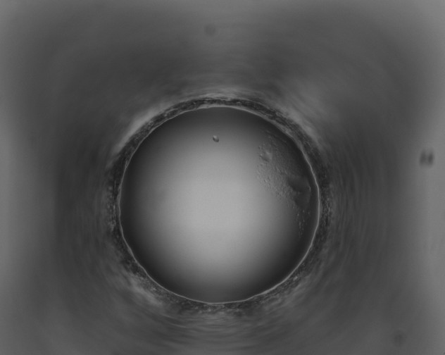 X0000093481256200710191159