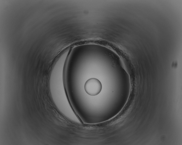 X0000093481257200710191159