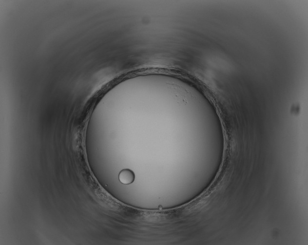 X0000093481258200710191159