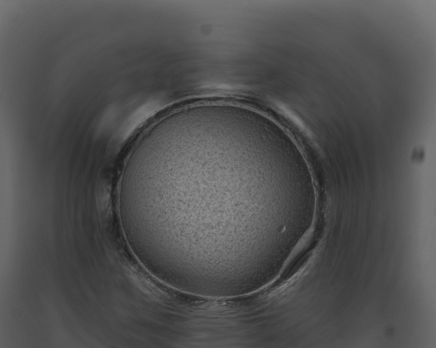 X0000093481259200710191159