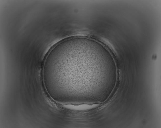 X0000093481260200710191159