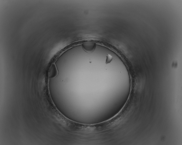 X0000093481261200710191159
