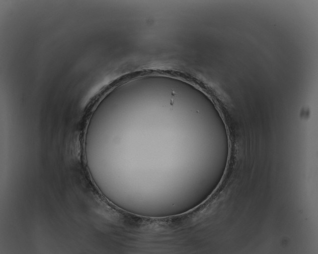 X0000093481262200710191159