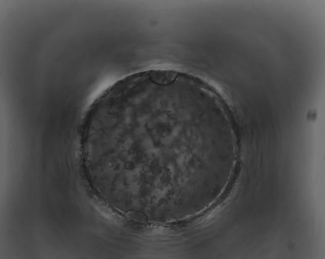 X0000093481263200710191159