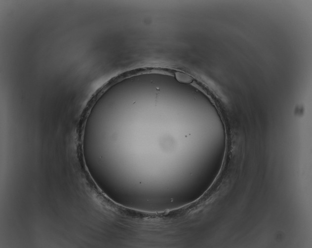 X0000093481264200710191159