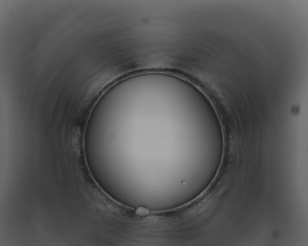 X0000093481265200710191159