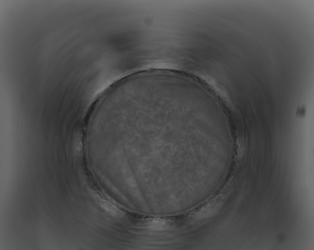 X0000093481266200710191159