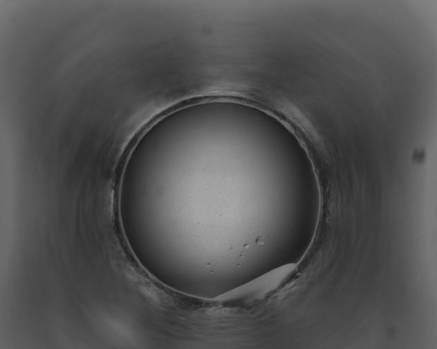 X0000093481268200710191159