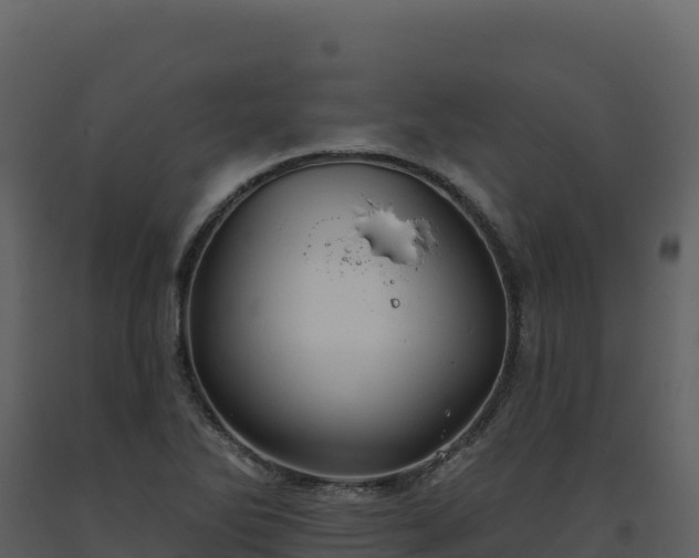 X0000093481270200710191159