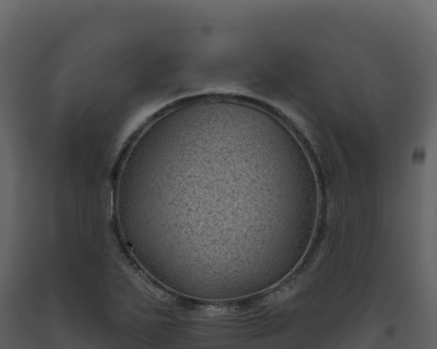 X0000093481271200710191159