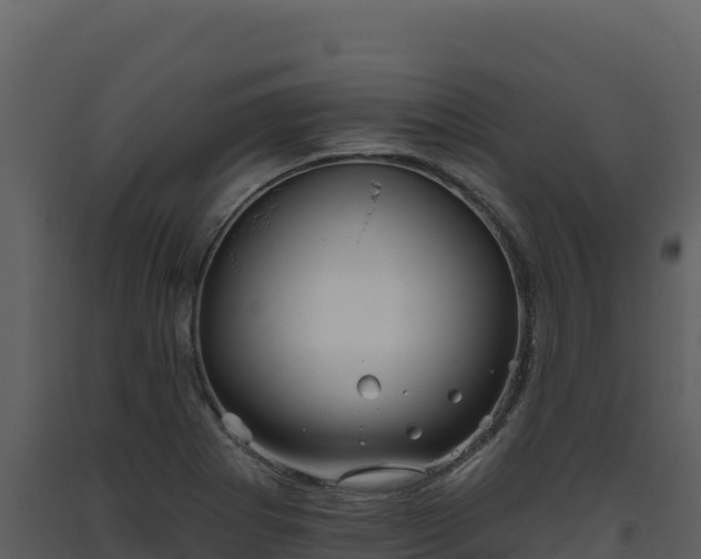 X0000093481273200710191159