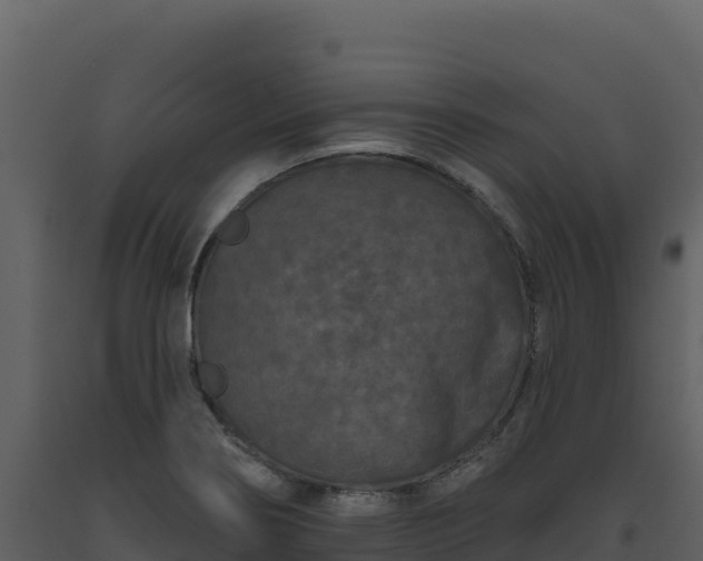 X0000093481274200710191159