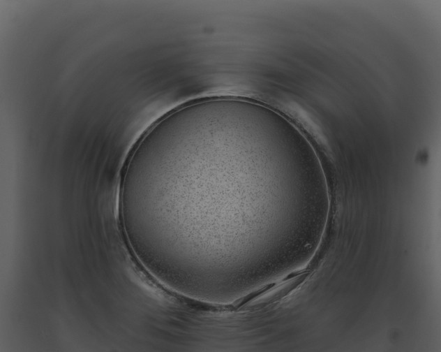 X0000093481276200710191159