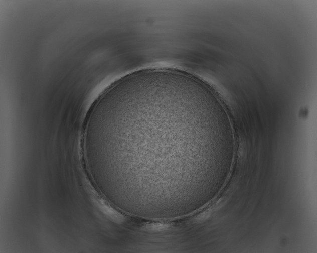 X0000093481278200710191159