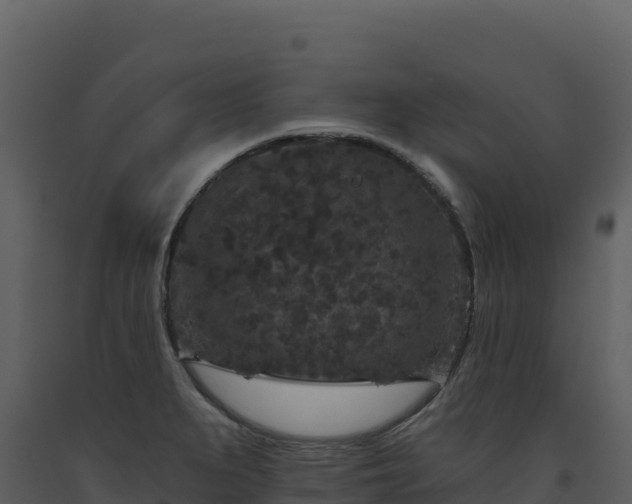 X0000093481279200710191159