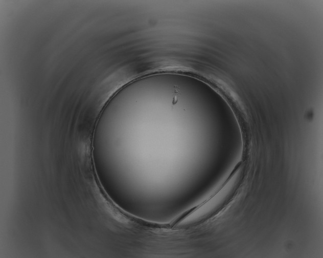 X0000093481281200710191159