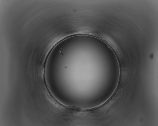 X0000093481284200710191159