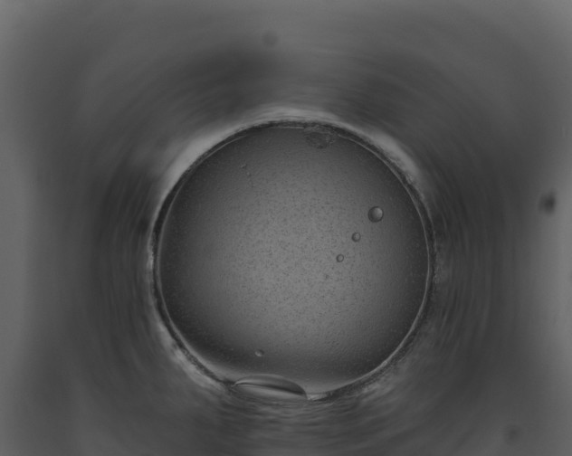 X0000093481287200710191159