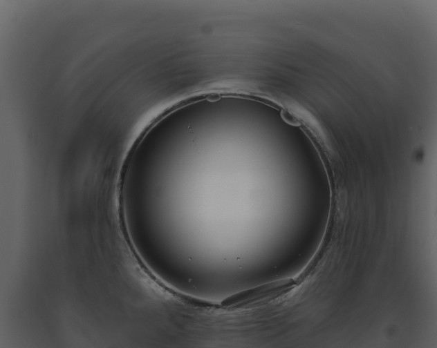 X0000093481288200710191158