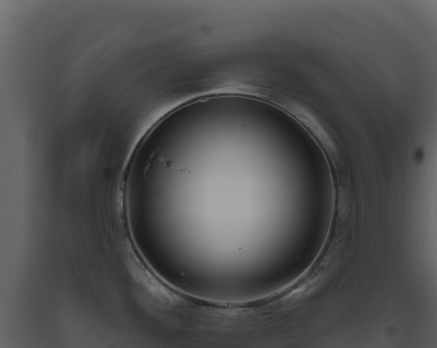 X0000093481292200710191158