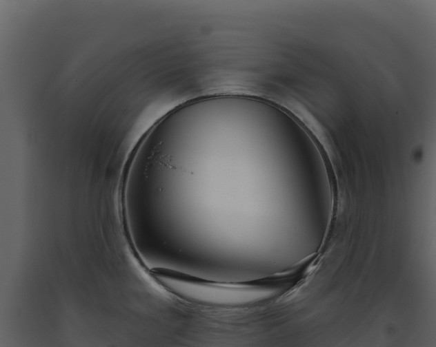 X0000093481293200710191158