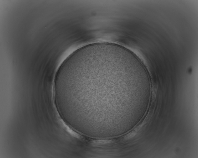 X0000093481294200710191158