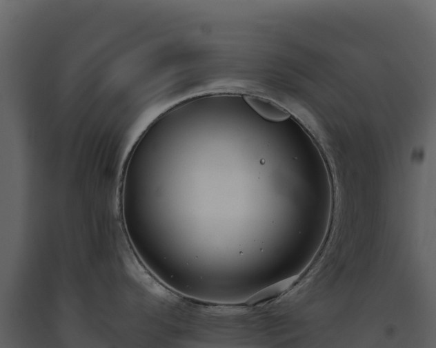 X0000093481296200710191158
