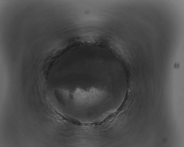 X0000093481297200710191158