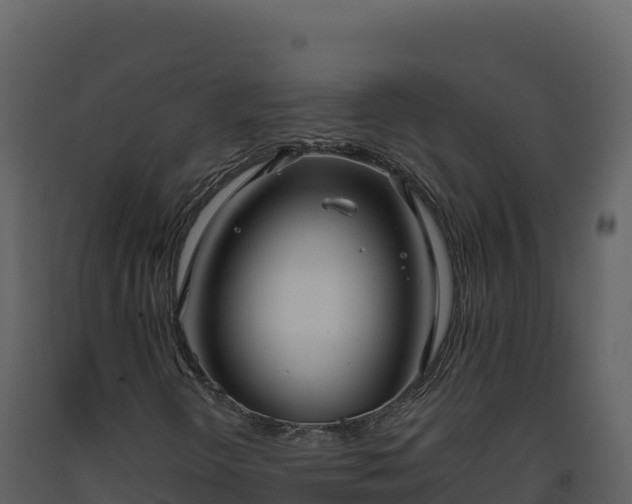 X0000093481298200710191158