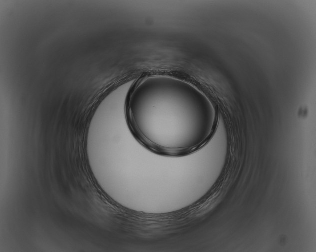 X0000093481300200710191158
