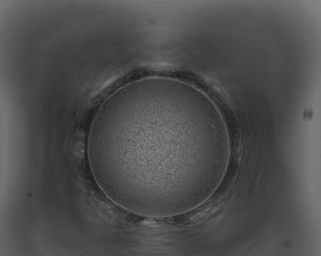 X0000093481301200710191158
