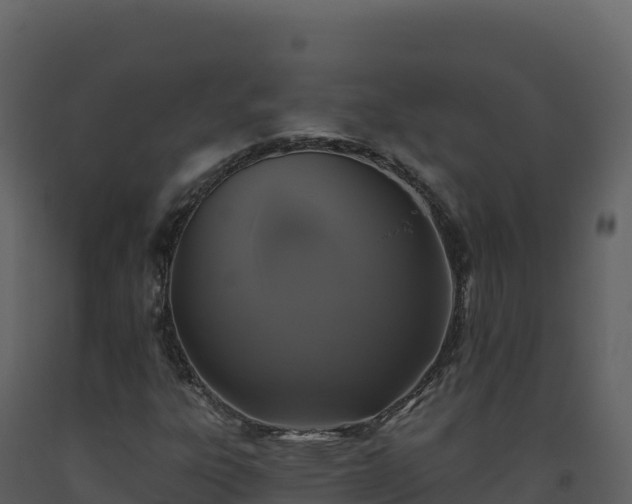 X0000093481303200710191158