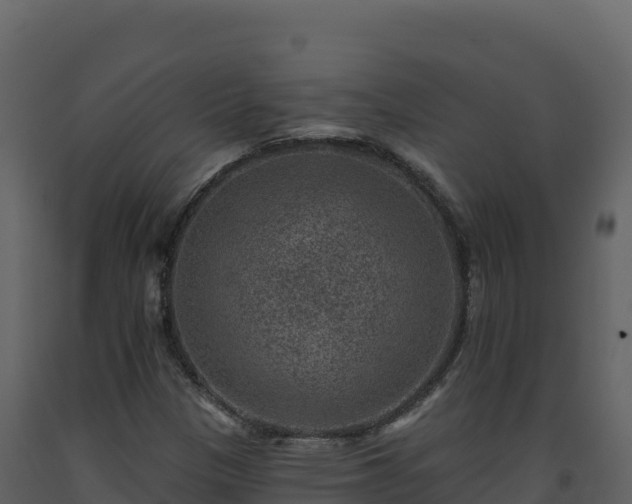X0000093481305200710191158