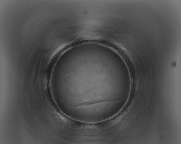 X0000093481306200710191158