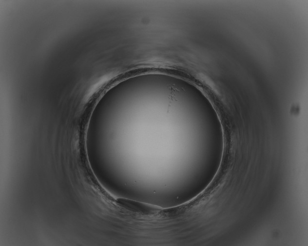 X0000093481307200710191158